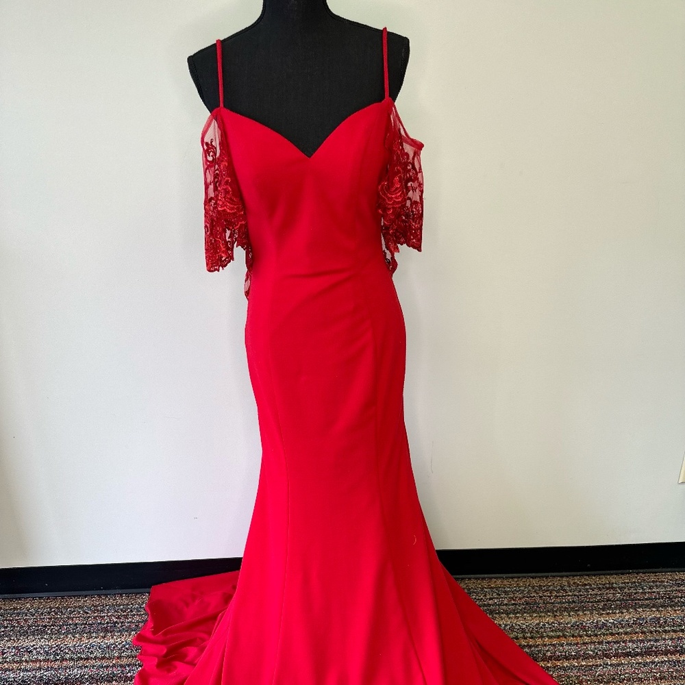 Alyce Paris Gown